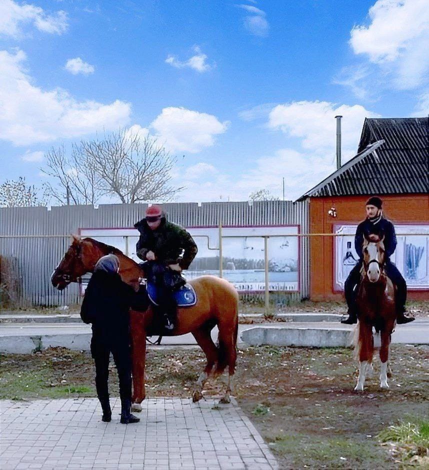 К поискам пропавшего 18-летнего Сергея Ярцева из Рамонского района подключили конный расчет  Всадники осмотрели большие территории полей, заросших высоким сухостоем, и кромку леса. Общая протяженность их маршрута составила более 10 км.  Волонтеры выезжали на место пропажи молодого человека пять раз. В сельском доме культуры в Новоживотинном организовали штаб поиска. Более 40 человек осмотрели лесопосадки, заброшенные здания, обошли ближайшие СНТ. В поисках приняли участие кинологи.   Всего сформировано 27 поисковых групп. К сожалению, Сергей до сих пор не найден, однако поиски продолжаются.   Если вы обладаете информацией — позвоните по телефону 112 или на горячую линию отряда «ЛизаАлерт» по номеру 8 800  700 54 52. Звонок бесплатный.    Поисково-спасательный отряд «ЛизаАлерт»