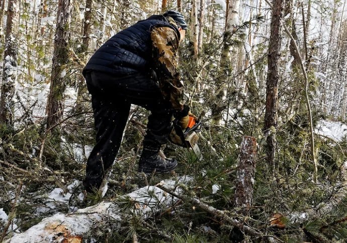 В Прикамье двое мужчин обвиняются в незаконной рубке леса на 124 млн рублей В Пермском крае перед судом предстанут два местных жителя, обвиняемых в незаконной вырубке лесных насаждений. Об этом сообщают прокуратура Пермского края и ГУ МВД по региону.  По версии ГСУ ГУ МВД главка, весной прошлого года глава местного фермерского хозяйства заключил договор с администрацией Кишертского муниципального округа и получил во временное пользование 200 га земли.