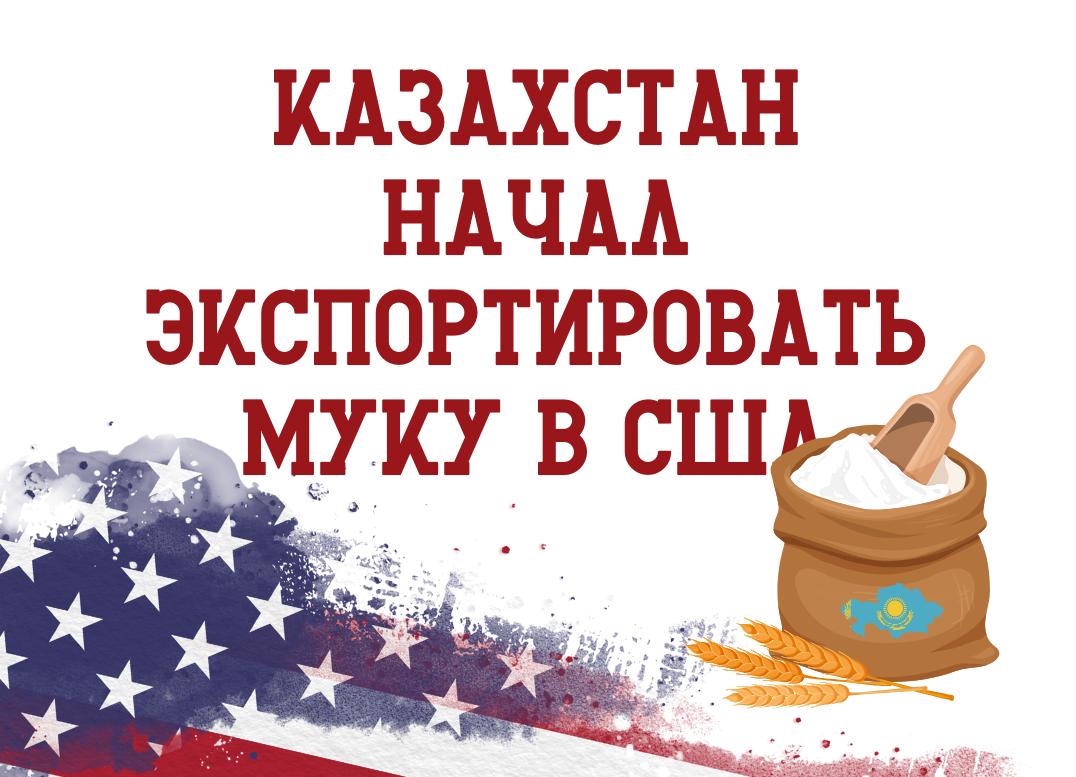 КАЗАХСТАН НАЧАЛ ЭКСПОРТИРОВАТЬ МУКУ В США Уже поставлено 50 тонн муки Казахстан начал поставки пшеничной муки в США the tenge kz articles kazakhstan nachal eksportirovat muku v ssha Первая партия в 50 килограммов уже доставлена в Нью Йорк и продается на местных онлайн платформах Amazon и Walmart а также используется в ряде пекарен Ожидается что в ближайшее время экспорт муки из Казахстана в США достигнет 100 тонн ежемесячно Уже ведутся переговоры о поставках в рестораны кофейни и локальные сети питания Пшеничная мука бренда Eurasian Legacy продается по 14 50 7 807 за упаковку 1 36 килограмма FINANCEkaz