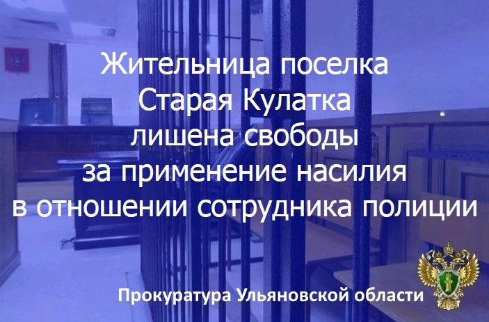 Радищевский районный суд Ульяновской области вынес приговор по уголовному делу в отношении жительницы региона. Она признана виновной в совершении преступления по ч. 2 ст. 318 УК РФ применение насилия, опасного для здоровья, в отношении представителя власти в связи с исполнением им своих должностных обязанностей . Установлено, что 9 февраля 2025 года 22-летняя ранее судимая за угрозу убийством Юлия Серебрякова, будучи задержанной в квартире одного из домов на улице Куйбышева в р.п. Старая Кулатка за распитие спиртных напитков в присутствии малолетних детей, нанесла инспектору по делам несовершеннолетних группы участковых уполномоченных полиции и по делам несовершеннолетних пункта полиции дислокация р.п. Старая Кулатка Межмуниципального отдела Министерства внутренних дел Российской Федерации «Павловский» рукой удар в лицо, в результате чего сотруднице органов внутренних дел причинена закрытая черепно-мозговая травма и другие телесные повреждения. Суд согласился с позицией прокурора и приговорил Серебрякову к 3 годам 4 месяцам колонии общего режима. Приговор вступил в законную силу.