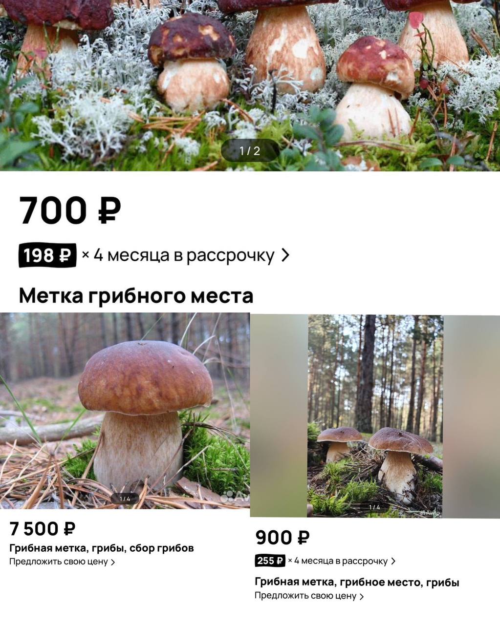 Бизнесмены из Подмосковья начали продавать грибные метки Суммы варьируются от 700 до 7500 Продавцы обещают передать координаты самых грибных мест в 50 100 км от города За дополнительную плату они предлагают довезти до места и помочь в тихой охоте Москва 2025