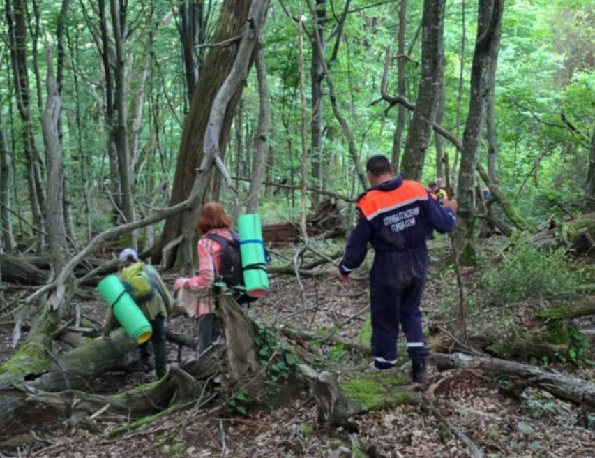 Спасатели нашли бабушку с внуком, потерявшихся в лесу в Сочи. В поселке Солоники Лазаревского района города Сочи 64-летняя женщина вместе со своим внуком пошли гулять в лес и заблудилась в районе горы Виноградной. Дежурная смена поисково-спасательного отряда отправилась на поиск. Людей удалось обнаружить до темноты в лесу, вывести к служебному транспорту и доставить на ж/д вокзал поселок Лазаревское. Кубанские Новости