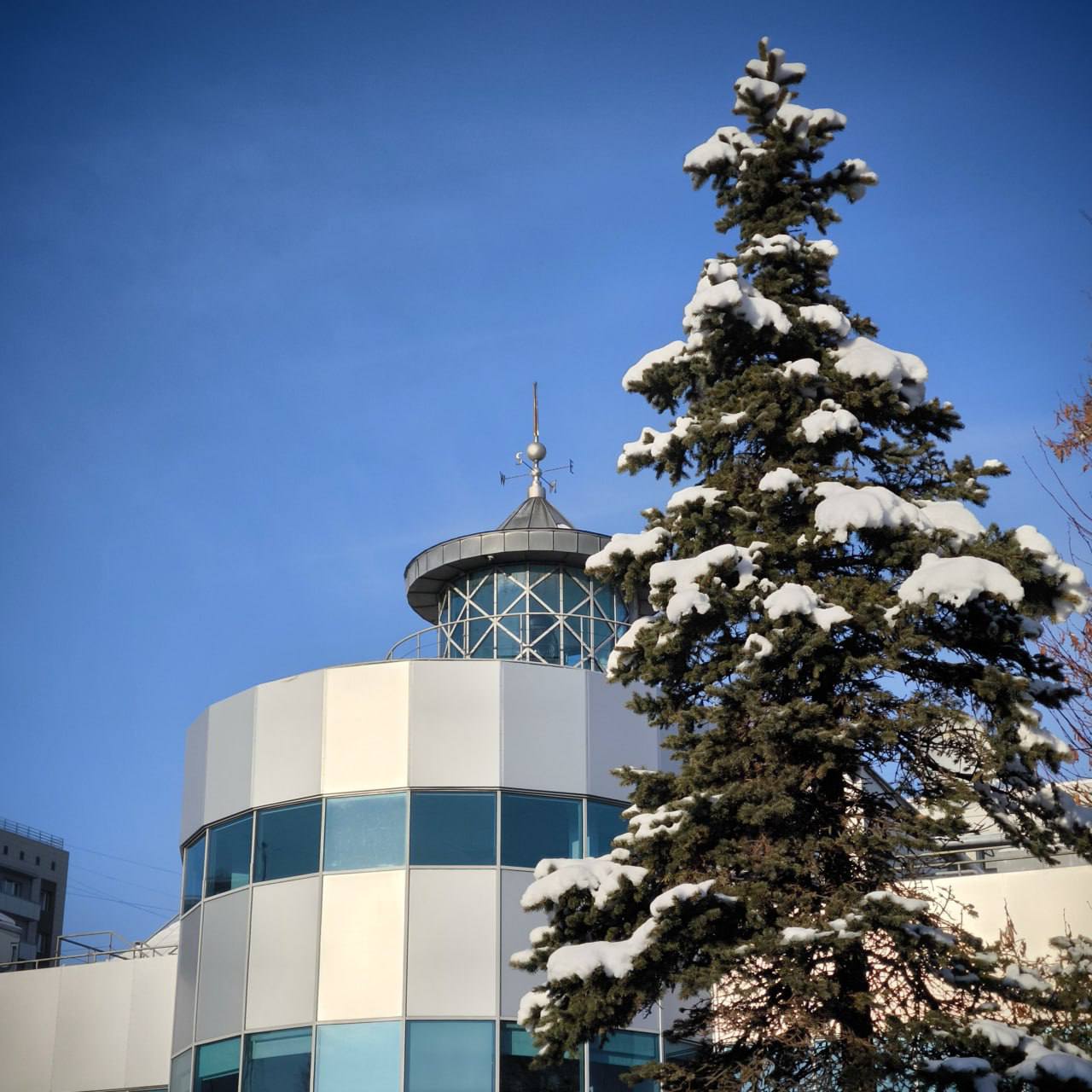 Главный корпус Музея Мирового океана закрывается на несколько дней По техническим причинам корпус по адресу набережная Петра Великого 1 не будет работать с 9 по 13 февраля Все остальные объекты музея в эти дни будут работать в обычном режиме Подписаться Прислать новости