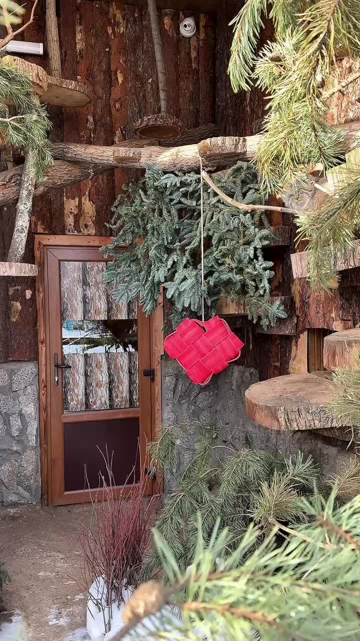 Ленинградский зоопарк подарил валентинки обитателям в честь Дня святого Валентина