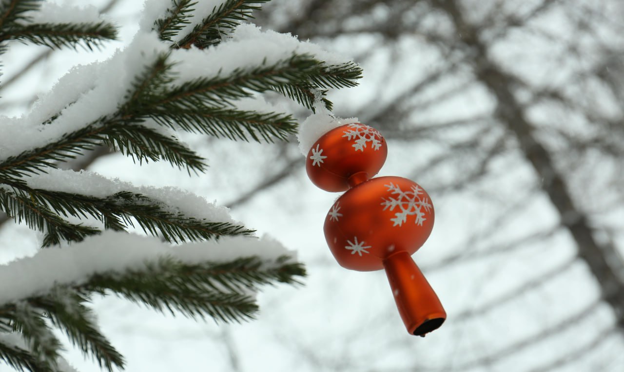 Новосибирцам предложили нарисовать ёлку 1945 года для 3D открытки Почта России присоединилась к конкурсу Нарисуй Ёлку Победы объявленному Музеем Победы Лучший рисунок используют для создания карточки с технологией дополненной реальности Главным элементом картинки должно стать праздничное дерево 1945 года Например можно изобразить как отмечали Новый год бабушки и дедушки наряжали ёлку создавали праздничную атмосферу и обменивались подарками Работы принимают до 23 ноября 2025 года Можно использовать любую технику акварель гуашь digital art горизонтальный или вертикальный формат Возраст участников от 6 лет Подробности по ссылке Подписаться на канал