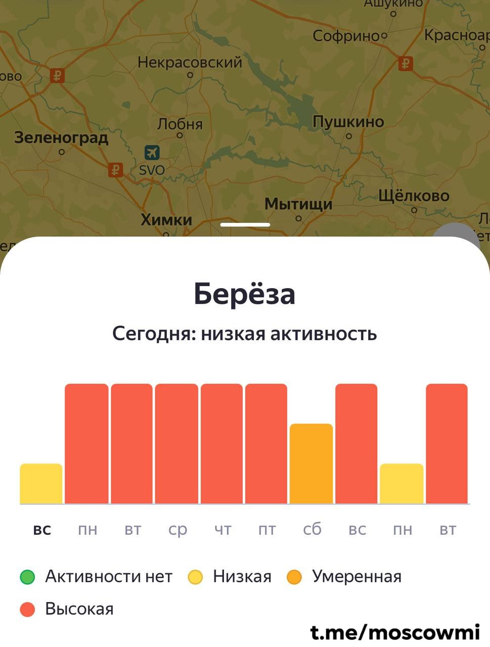 Высокая активность пыльцы ожидается в Москве с завтрашнего дня и до следующей субботы.