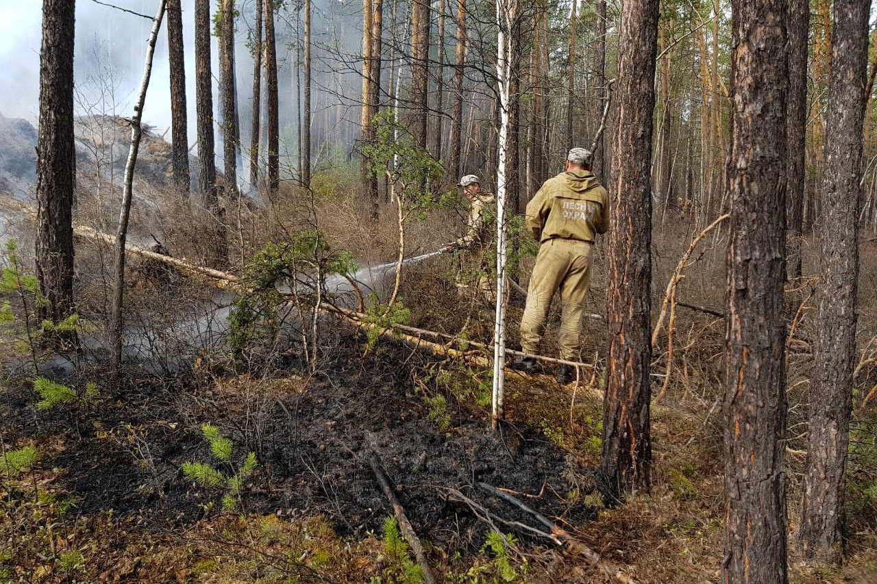 В Иркутской области ликвидировали 9 лесных пожаров Возгорания в Зиминском, Заларинском, Тайшетском, Усть-Удинском и Чунском районах потушены в день обнаружения. По два пожара в Братском и Тайшетском районах перешли с предыдущих суток. Общая площадь пожаров – 78,4 га. В тушении было задействовано 102 сотрудника лесопожарных формирований и 36 ед. техники. По состоянию на утро 6 мая в регионе действовало 3 лесных пожара: 2 в Тулунском и 1 – в Черемховском районе. Один из пожаров в Тулунском районе локализован. Площадь возгораний – 52 га. В тушении задействовано 76 чел. и 18 ед. техники. Сегодня наземное патрулирование ведут 159 групп, в составе которых 413 сотрудников лесной охраны. Напомним, информацию о возгорании в лесах можно сообщать в региональную диспетчерскую службу Иркутской области по телефону: 8 3952 22-99-68 или на прямую линию лесной охраны: 8-800-100-94-00.