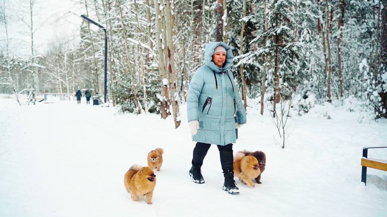 Более 1 2 тыс заявок на регистрацию домашних животных в Подмосковье поступило через региональный портал госуслуг Онлайн доступна как первичная постановка питомцев на учет так и корректировка данных владельцев и снятие с учета Активнее всего услугой пользуются жители округов Пушкинский Рузский Одинцовский Истра Богородский Напомним подать заявку могут не только для физические лица но и юридические питомники СНТ предприятия ИП Процедура регистрации включает несколько шагов необходимо убедиться в наличии чипа подготовить фото питомца и страниц его ветпаспорта с информацией о владельце животном и чипе авторизоваться на регпортале госуслуг и заполнить электронную форму Регистрация собак является обязательной в Подмосковье с сентября 2023 года За ее отсутствие предусмотрена административная ответственность Подмосковье