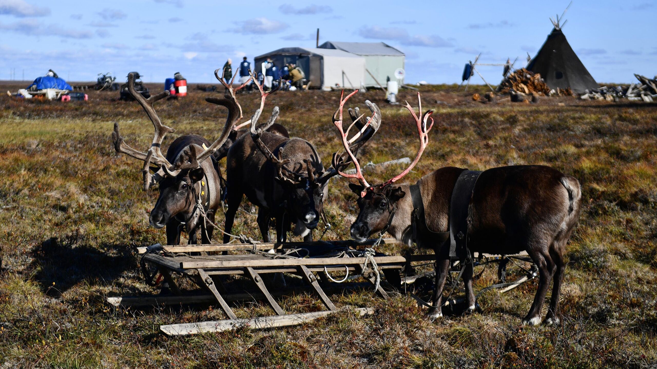 Правительство РФ утвердило трёхлетний план мероприятий по реализации Концепции устойчивого развития коренных малочисленных народов Севера Сибири и Дальнего Востока сообщили в кабмине Улучшение экономических и социальных аспектов жизни сохранение исконных территорий проживания и уникальных форм традиционной хозяйственной деятельности нашли отражение в мероприятиях трехлетнего плана по реализации Концепции устойчивого развития коренных малочисленных народов Севера Сибири и Дальнего Востока Распоряжение утверждающее такой документ подписано сообщается в официальном канале правительства в мессенджере MAX