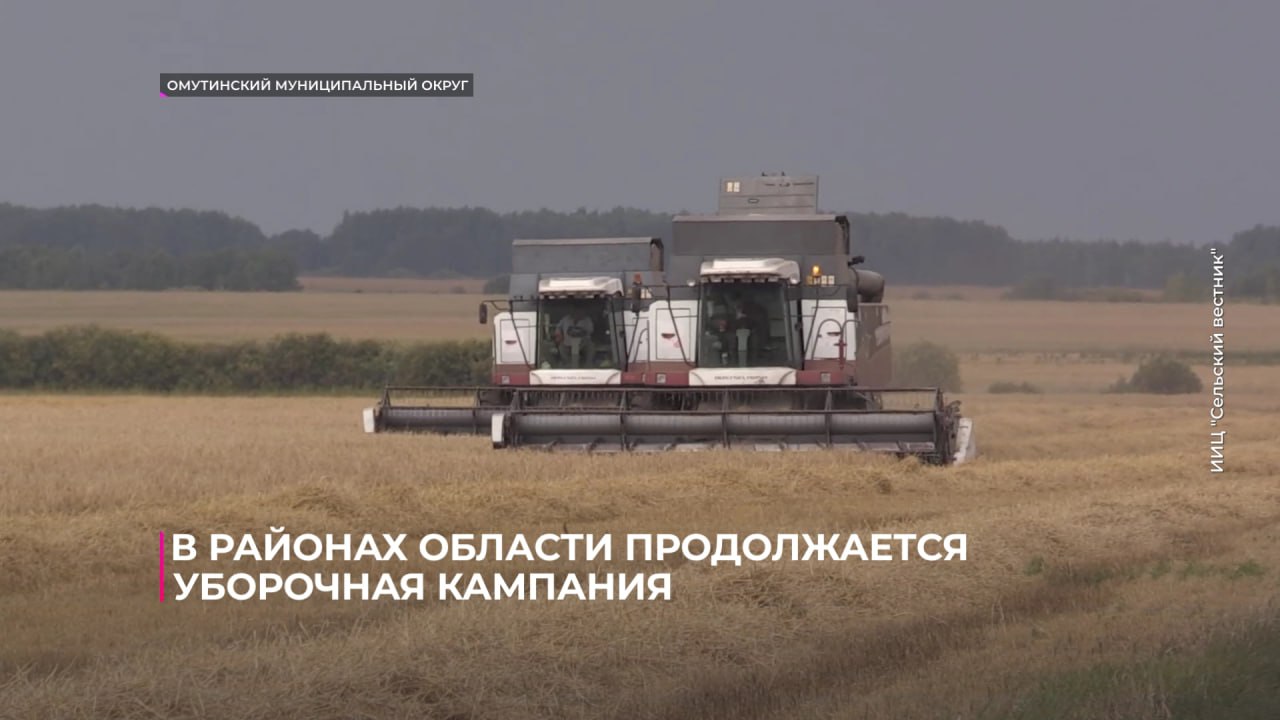 В районах области продолжается уборочная кампания Сейчас в Омутинском округе механизаторы убирают ячмень Работа началась 12 августа несмотря на неустойчивую погоду Зерно с поля поступает прямо на сушку зерносушильного комплекса после обработки засыпается в склады Параллельно с уборкой зерновых в хозяйстве идёт заготовка кормов Однолетние травы уже убраны заготовили 12 тонн зелёной массы Сейчас механизаторы вышли на второй укос многолетних трав А после уборки ячменя приступят к пшенице Подпишись на Тюменское время