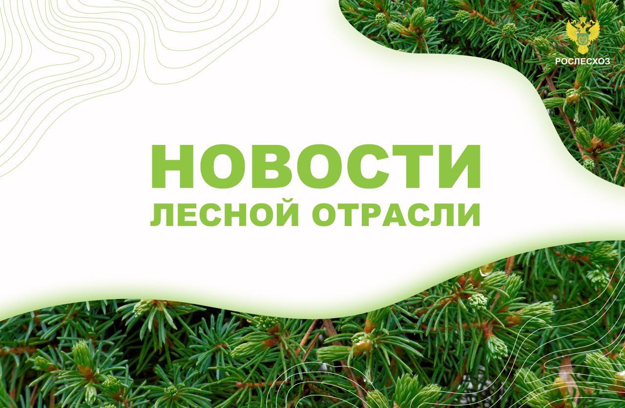 ТАСС: Рослесхоз ожидает пять-шесть месяцев лесных пожаров вместо трех    ТАСС: Патрушев поручил тушить не менее 80% лесных пожаров в первые сутки    PrimaMedia: Приморье в зоне риска: пожароопасный сезон может продлиться в два раза дольше    Аргументы и Факты: Лес на площади в тысячу гектаров начали высаживать в Воронежской области    Forestcomplex ru: В 2025 году в Карелии планируется лесовосстановление на площади в 21,2 тыс. га