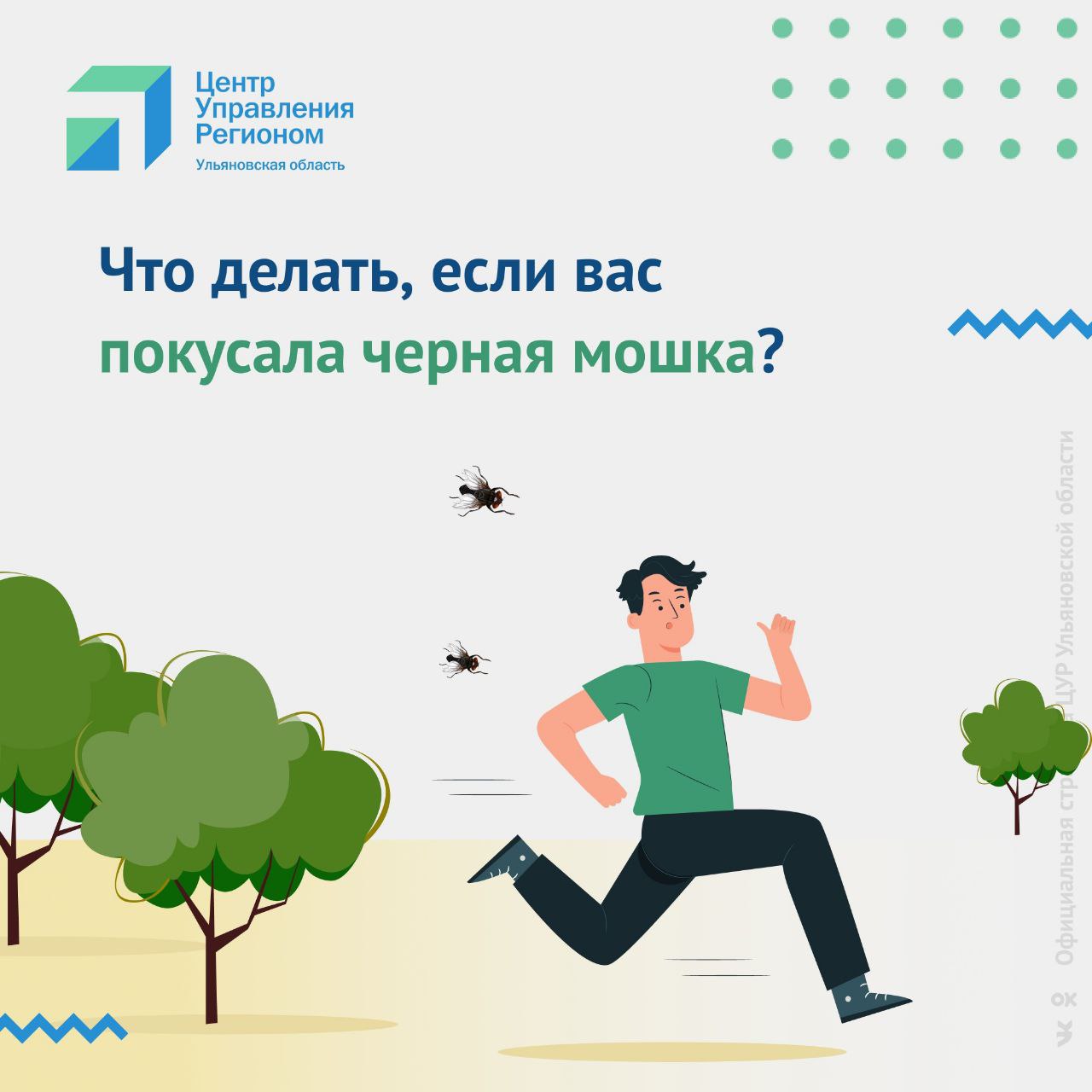Жители Ульяновской области жалуются на укусы чёрной мошки. Большое количество этих насекомых появилось в Сурском районе. Их слюна может вызвать сильную аллергическую реакцию. Что делать при укусах и как защититься от назойливой мошки — в карточках ЦУР Ульяновской области. Подписаться Прислать новость