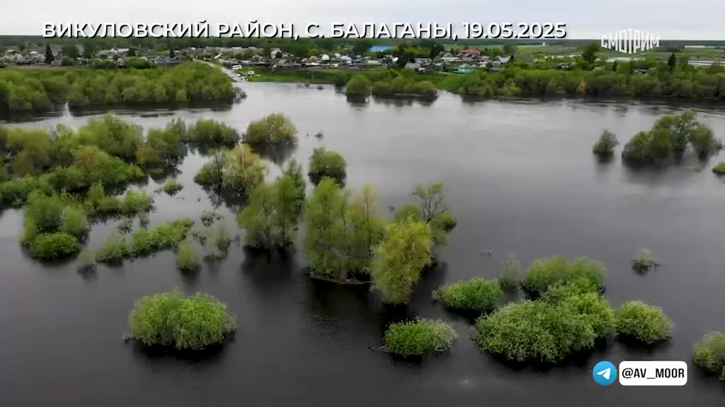 В Викуловском районе Тюменской области уровень воды продолжает расти, организована лодочная переправа