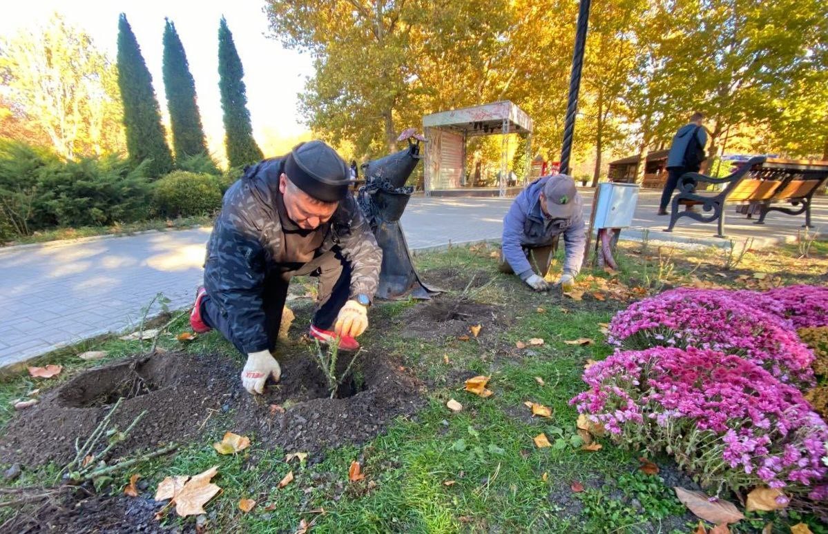 100 кустов роз украсили парк Гагарина    Новые цветы высадили сегодня работники учреждения «Парки столицы» у пруда и аттракционов. Предварительно в каждую лунку было внесено удобрение, которое даст возможность саженцам хорошо укорениться и в дальнейшем благополучно перенести зимовку.    Здоровый и крепкий посадочный материал предоставлен социально ориентированным бизнесом – Крымской ассоциацией индустрии развлечений.