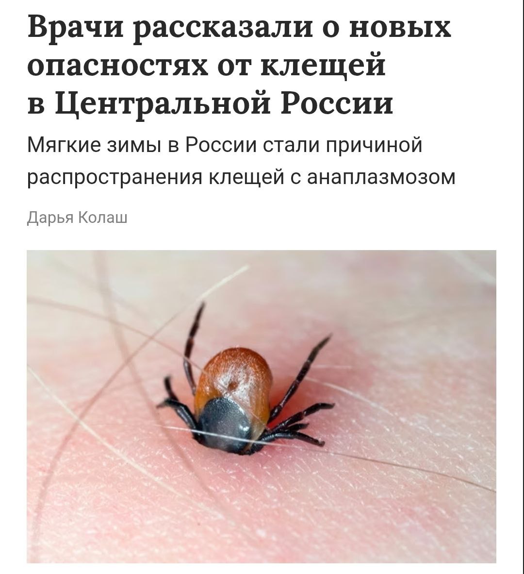 Клещи, переносящие анаплазмоз, стали чаще встречаться в центральной России из-за потепления климата и мягких зим. Раньше болезнь была распространена только на юге и востоке страны, но теперь ее возбудители появляются и в центральных регионах. Об этом сообщила эксперт Московского физико-технического института Виктория Скобеева. Анаплазмоз может протекать бессимптомно, но иногда вызывает температуру, слабость и анемию, которые проходят за месяц. В тяжелых случаях возможны судороги, рвота и поражение нервной системы. В отличие от клещевого энцефалита, анаплазмоз лечится антибиотиками доксициклин, эритромицин . Вакцины от него нет, так как возбудитель скрывается внутри клеток. Болезнь менее опасна, чем боррелиоз.