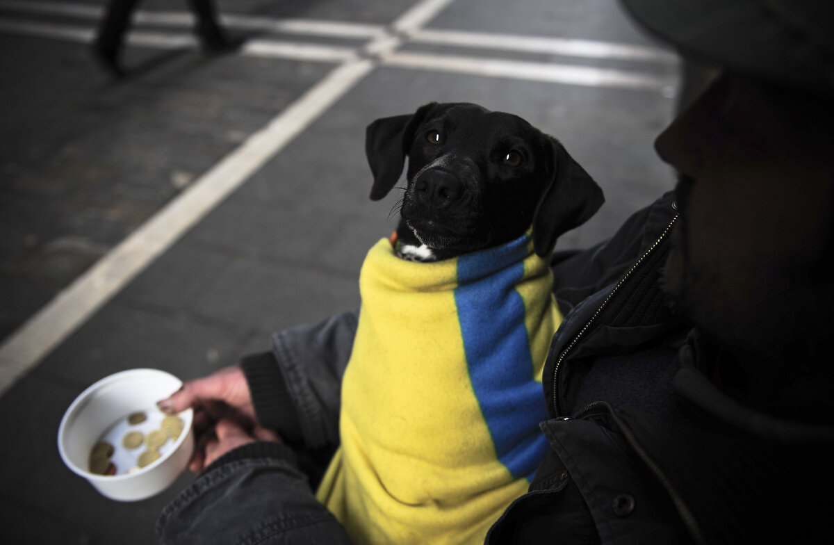 В Киеве сказали, сколько Германия должна Украине  Представитель Украины в ООН Мельник сообщил по немецкому телевидению:     «Будущая коалиция  в правительстве Германии  должна заложить в бюджет на ближайшие четыре года не менее €80 млрд, то есть по €20 млрд в год»  Также он похвалил Германию за уже оказанную Киеву помощь, но отметил, что этого недостаточно.    Как сообщалось ранее, Мельник призвал посла Украины «поднять задницу, чтобы заставить Германию оказать большую поддержку Украине».  Осташко! Важное   подпишись