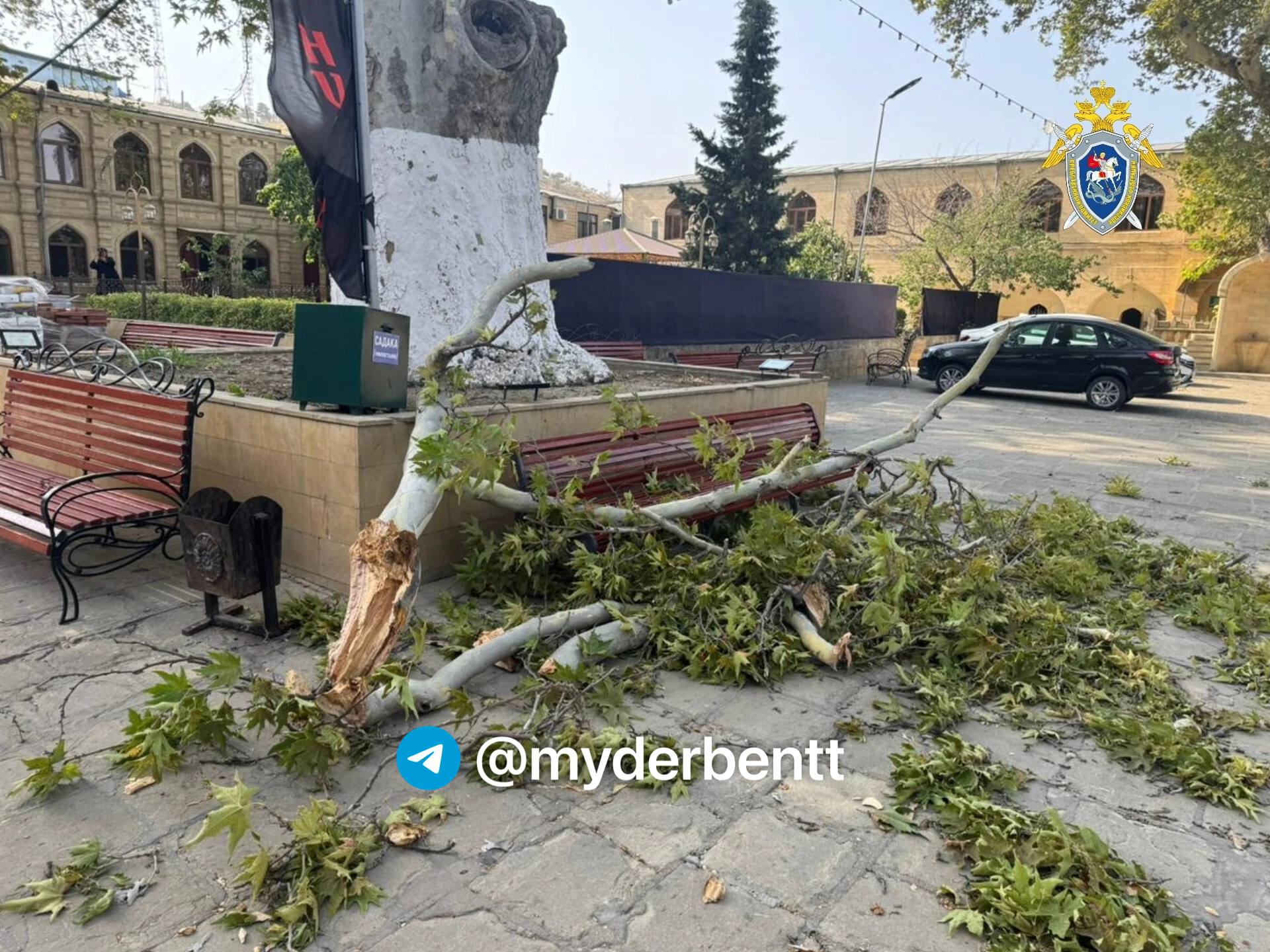 В Джума-мечети Дербента погибла женщина в результате падения дерева.  По предварительным данным, 3 августа в Дербенте на территории Джума-мечети дерево обрушилось на трех женщин. В результате инцидента одна женщина скончалась, а две другие были доставлены в больницу.  По данному факту Дербентским межрайонным следственным отделом СК России по Республике Дагестан организована процессуальная проверка, направленная на выяснение причин и обстоятельств произошедшего.   Мой Дербент   Подписаться