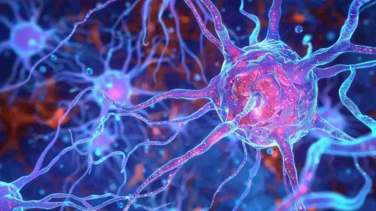 новый датчик на основе мягкого мемристора имитирует то как биологические нервы чувствуют запоминают и восстанавливаются после травмы Исследователи из Северо Восточного педагогического университета Китая разработали новый мягкий желеобразный электронный болевой нерв который может дать роботам человеческие рефлексы Эти нервы поясняют исследователи могут ощущать давление разной интенсивности а не только время от отключения Впечатляет что новые электронные нервы могут физически восстановить себя после повреждения Теоретически они также могут быть использованы для запуска рефлекса например отодвигая конечность от источника боли Ключом к новой разработке является то что называется мемристорами Это электронные компоненты сопротивление которых зависит от того что с ними происходило в прошлом Это важно потому что нейроны помнят прошлую стимуляцию а чувствительность к боли зависит от истории Тем не менее большинство мемристоров переключаются между двумя состояниями т е включаться или выключаться