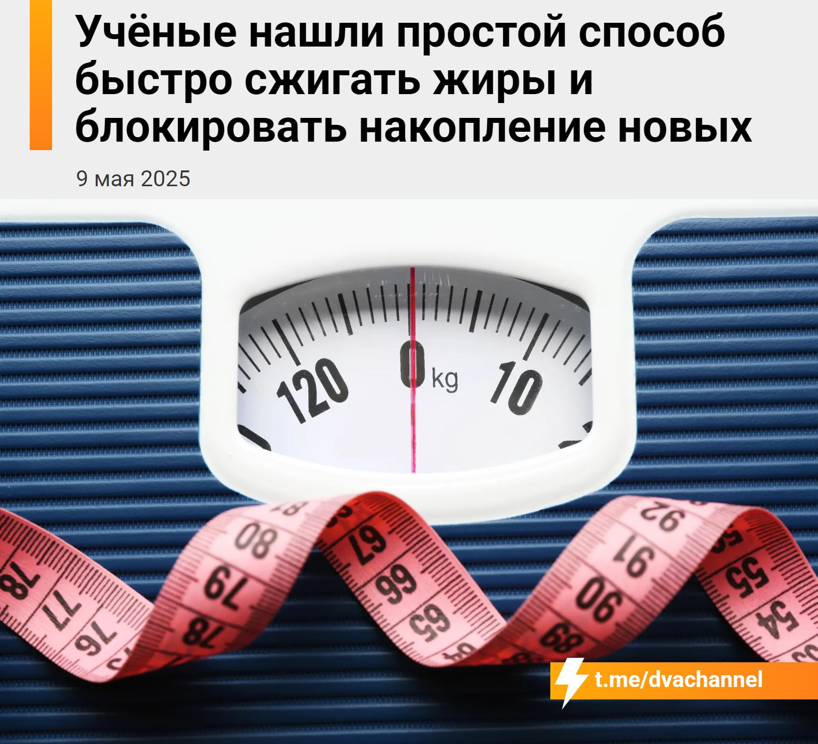 Ожирение В С Ё: учёные открыли способ ускоренного сжигания жира и предотвращения его накопления путём блокировки белка MTCH2 — метод уже протестирован на людях и показывает отличные результаты. Ключевую роль играет митохондриальный белок MTCH2 «Митч» ; Когда его активность подавляется, клетки организма переходят в режим интенсивного жиросжигания, активно используют накопленные жиры для выработки энергии – и не теряют мышечную массу; При этом процесс накопления новых жиров практически останавливается: клетки начинают так быстро поглощать жир, что он не успевает запасаться в тканях; Сейчас разрабатывается недорогая и эффективная терапия, основанная на этом механизме; Она может кардинально изменить подход к лечению ожирения и помочь людям худеть значительно быстрее. Отправь тому самому жиробасу
