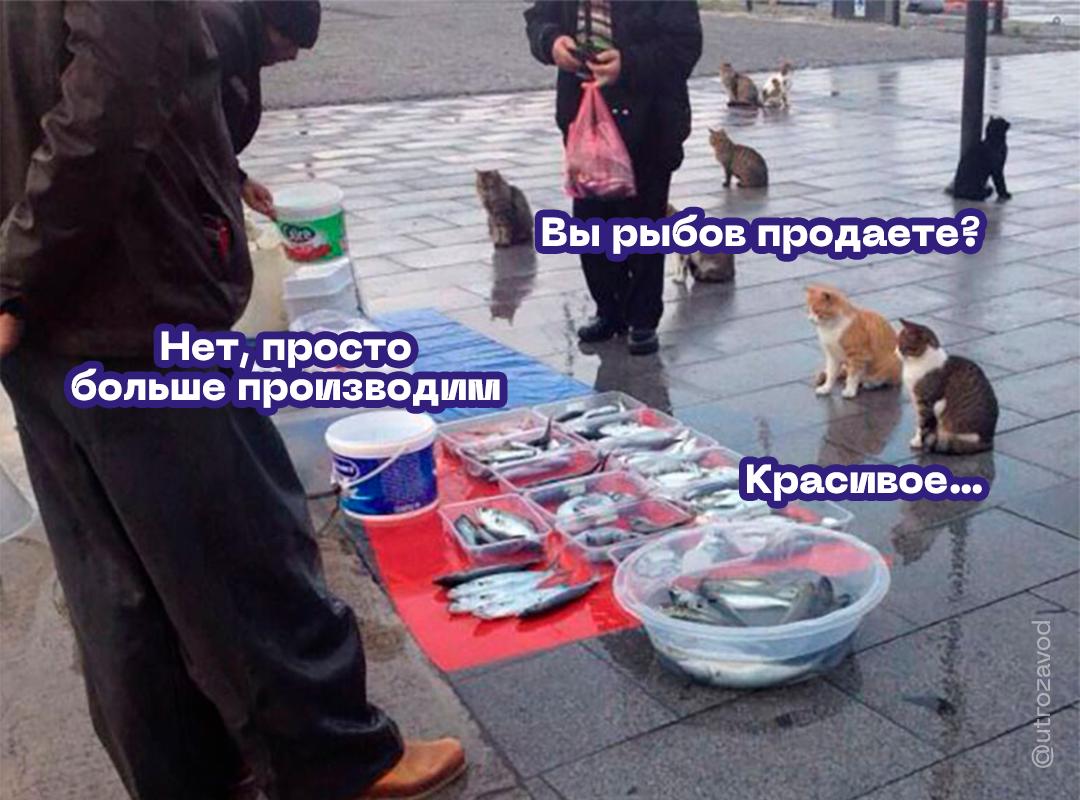 Карпы выросли на 6,5%, а осетровые — на 17,5%. Сводки из мира аквакультуры радуют: в России отмечается стабильный рост производства рыбовых. За три первых месяца 2025 года российские предприятия выпустили 164,7 тонн карповых и осетровых. Ученые связывают это с выведением двух новых пород карпов, которые назвали «баттерфляй» и «черфас». Ну как тут не вспомнить старый добрый мем 2021 года?