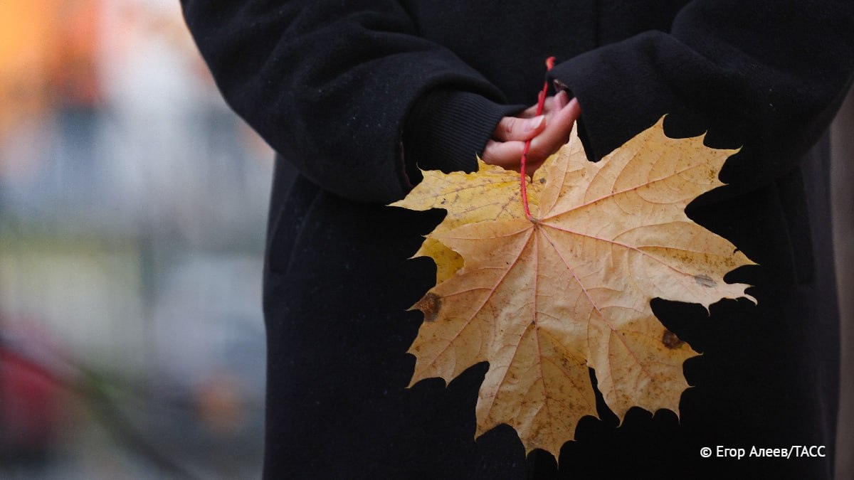 Фотосессия в осенней листве может вызвать аллергию сообщила врач терапевт Красногорской больницы Хачмафова Опавшие листья являются переносчиками аллергенов и загрязняющих веществ Особую опасность представляют листья собранные вблизи автодорог и промзон На их поверхности накапливаются тяжелые металлы которые легко попадают в организм через дыхательные пути или кожу Подпишись на ТАСС в Max