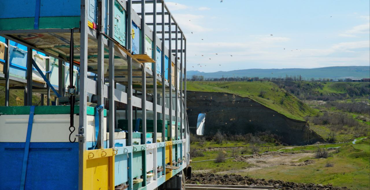 В Дагестане в 2026 году направят 10 млн рублей на развитие пчеловодства Средства будут предоставлены в виде субсидий и направлены на техническое обновление пасек и повышение качества готовой продукции Развитие пчеловодства имеет стратегическое значение для агропромышленного комплекса республики Пчелы являются основными природными опылителями и благодаря их работе урожайность сельскохозяйственных культур может увеличиваться на 30 100 mcxprd АПК