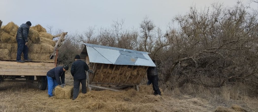 В Азово-Сивашском национальном парке проходят биотехнические мероприятия по подкормке копытных животных  Специалисты наполняют кормушки сеном, развозят ранее заготовленные корма и очищают замерзшие водопои от льда.  "В холодный период животные очень нуждаются в дополнительной подкормке, такой как сено и зерновые культуры", — отметили в Министерстве природных ресурсов и экологии Херсонской области.     ПОДПИСАТЬСЯ НА ТАВРИЮ