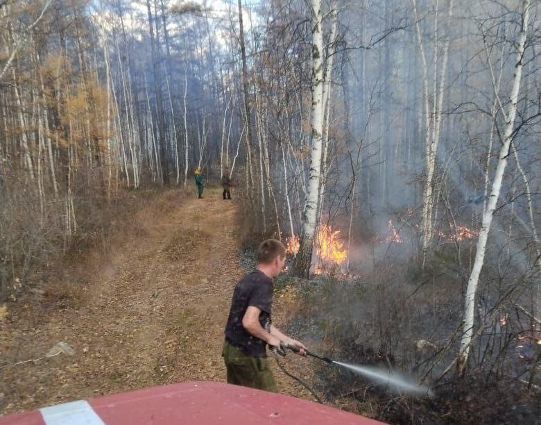 По оперативным данным РДС за текущие сутки на территории лесного фонда Могочинского и Хилокского округов зарегистрировано два лесных пожара на площади 2 и 1 гектаров соответственно В тушении задействованы 16 лесных пожарных с применением 4 единиц техники По предварительным данным причинами возгораний стали неосторожное обращение с огнём местного населения и линия электропередачи Локализация и ликвидация пожаров планируется на завтра Минприроды Забайкаллесхоз пожароопасныйсезон лесныепожары Подписаться minprirZK Минприроды Забайкальского края всегда с Вами     vk com minprirzk ok ru minprir75 Богомягкова 23 Чита Забайкальский край