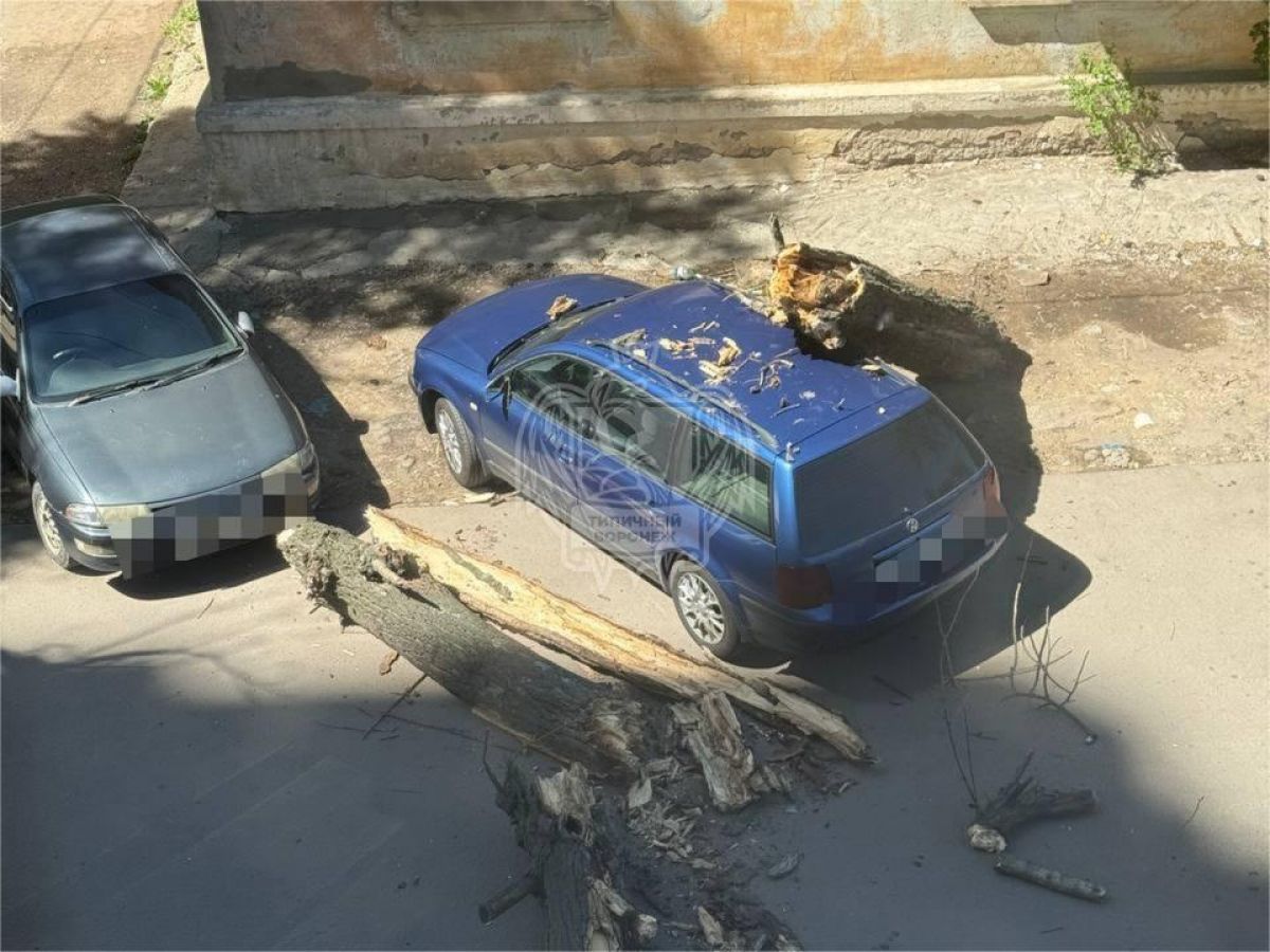 Сухое дерево рухнуло на автомобиль на улице 9 Января Ствол дерева раскололся на несколько частей. О повреждениях автомобиля ничего не сообщается. Вероятно, дерево было в аварийном состоянии, и его не успели вовремя убрать. ↗ Прислать новость Подписаться