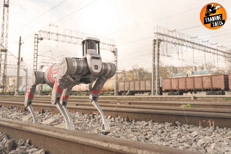 РЖД тестируют собак роботов для контроля безопасности Они проходят комплексные испытания на двух стратегически важных станциях где преобладает высокая загруженность и разные климатические условия в Ростовской области и в Челябинске Основными задачами робопсов на этапе тестирования являются диагностика подвижного состава контроль за соблюдением охраны труда и обеспечение транспортной безопасности Главное здесь Подписывайтесь