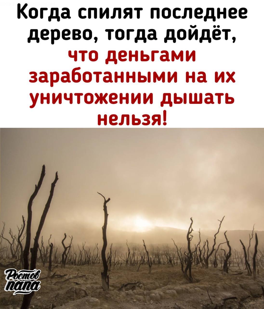 Причина пыльных бурь — сокращение лесополос на юге России.   Ветра из Калмыкии приносят пыль, так как там расширяется зона пустынь. В советские годы с этим боролись, высаживая лесополосы, но после программа была остановлена.  Почвовед и профессор ЮФУ Ольга Безуглова рассказала городской прессе, что проблему можно решить на государственном уровне, возобновив посадку деревьев.   Однако, как сообщили в донском Минсельхозе это требует большой бюджет, а также нормативной базы и понимания важности лесополос среди жителей региона, которые часто уничтожают их.   Новости №1 в Ростове  Прислать новость/фото