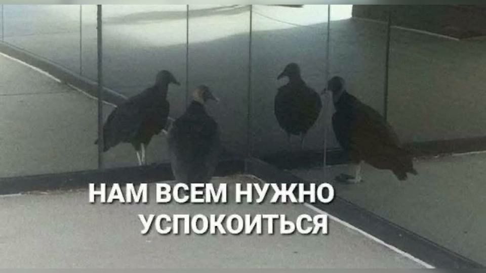 На прошлой неделе ГосДума предложила сделать отчётность управляющих организаций ежеквартальной попутно показав совершенное непонимание того как устроена работа предприятий в России На этой неделе предложили формировать комиссии из собственников которые будут принимать капитальный ремонт оценивать соответствие проекта сметной документации контролировать качество строительных материалов Даже если дом в котле у специально обученного таким вопросам регионального оператора Нам предстоит пережить интересный год т к в сентябре очередные выборы депутатов ГосДумы Чтобы как то запомниться избирателю нас будут кормить странными нереализуемыми бессмысленными с практической точки зрения но пиарными инициативами К слову один из авторов проекта про капитальный ремонт известный политтехнолог А ЖКХ единственная сфера экономики в стране которая касается каждого взрослого гражданина Так что всерьёз в ближайший год в основном можно будет обсуждать только законодательные инициативы Правительства И мне жаль депутатов чьи стоящие инициативы рискуют утонуть в потоке предвыборного мусора их коллег