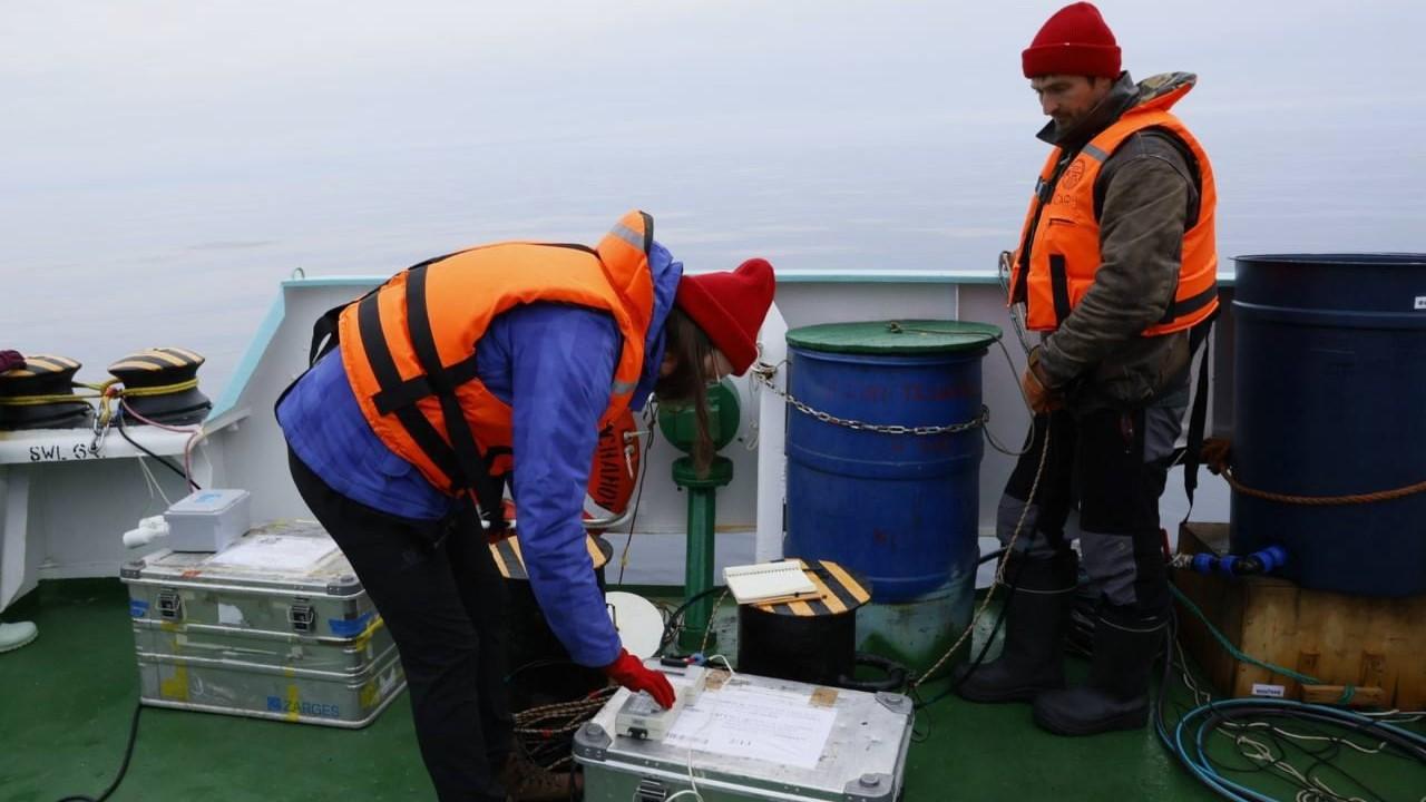 Экспедиция Арктического плавучего университета в 2026 году отправится из Мурманска Она пройдет с 1 по 22 июля в Баренцевом и Карском морях на научно исследовательском судне Профессор Молчанов сообщил ТАСС руководитель экспедиции Александр Сабуров Цель изучить состояние прибрежных экосистем Баренцева и Карского морей в условиях изменения климата в Арктике и увеличения антропогенной нагрузки Большой блок посвятят исследованиям распространения теплых атлантических вод в северо восточной части Баренцева моря ученые соберут данные о характеристиках водных масс из Атлантики в Арктику Университет проводит мониторинг этих вод на разрезах между Новой Землей и Землей Франца Иосифа Фото Анастасия Ломакина ААНИИ Все самые важные новости Telegram MAX