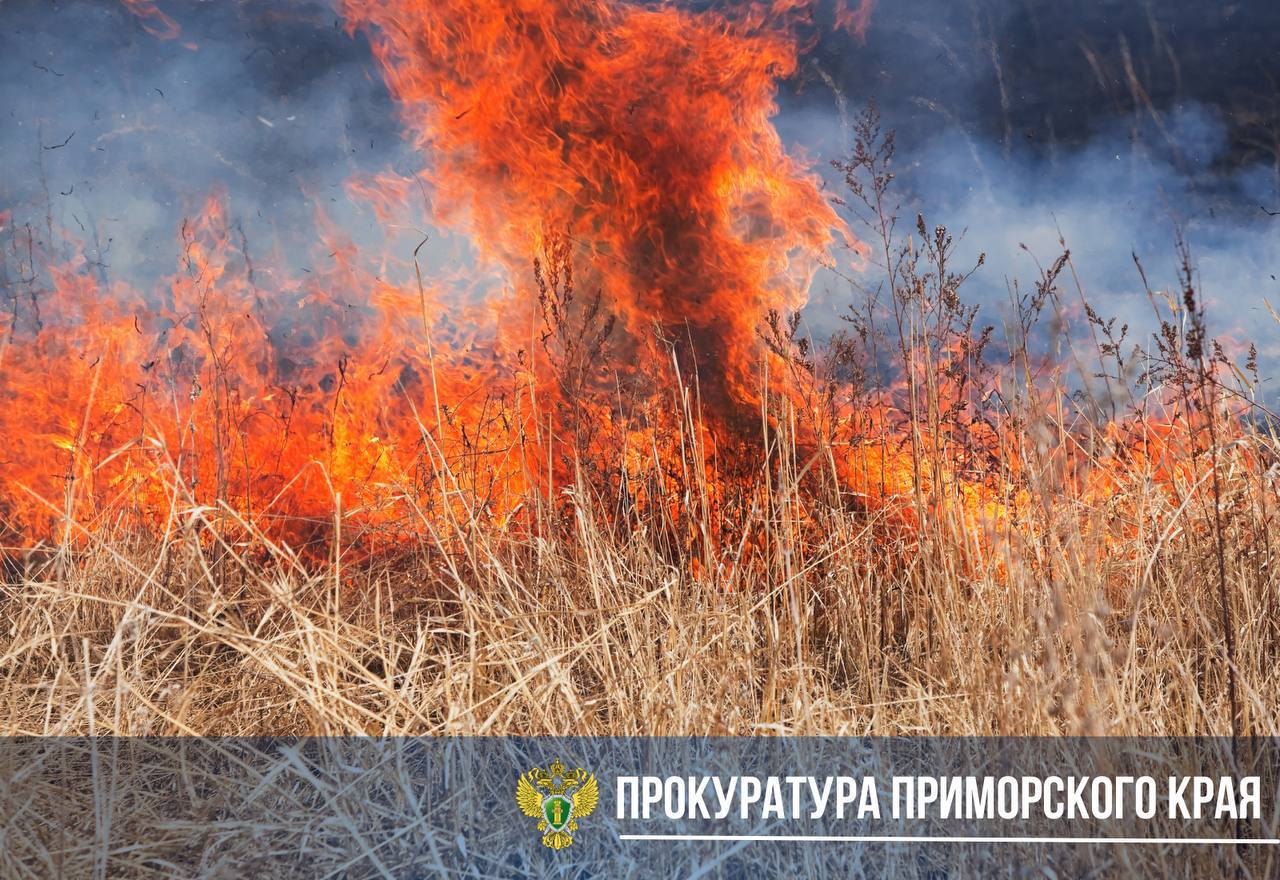 В Надеждинском районе подросток толкнул в огонь своего сверстника. Ребенок получил серьезные ожоги.                                                                                                   17 ноября 2024 года несовершеннолетний обратился за медицинской помощью с ожогом голени, с его слов травму он получил в результате того, что его толкнул в огонь другой подросток, которого ранее он никогда не видел.  Мальчик похожий по возрасту на шестиклассника поливал из бутылки траву на стадионе и поджигал её, что возмутило гулявших рядом друзей. После их замечания этот же мальчик в черной маске-снуде с нарисованной челюстью облил ногу паренька и толкнул его в горящую траву. Из-за этого упавший получил сильный ожог левой голени.   Мальчику помог стянуть и потушить горящие штаны его приятель. Родители пострадавшего написали заявление в полицию и ищут обидчика их сына.  Прокуратура Надеждинского района  поставила на контроль установление обстоятельств произошедшего. Отдельное внимание будет уделено сигналу о том, что вблизи стадиона допущена игра с воспламеняющимися жидкостями. По результатам проверки прокуратуре предстоит дать оценку деятельности органов профилактики безнадзорности и правонарушений несовершеннолетних.