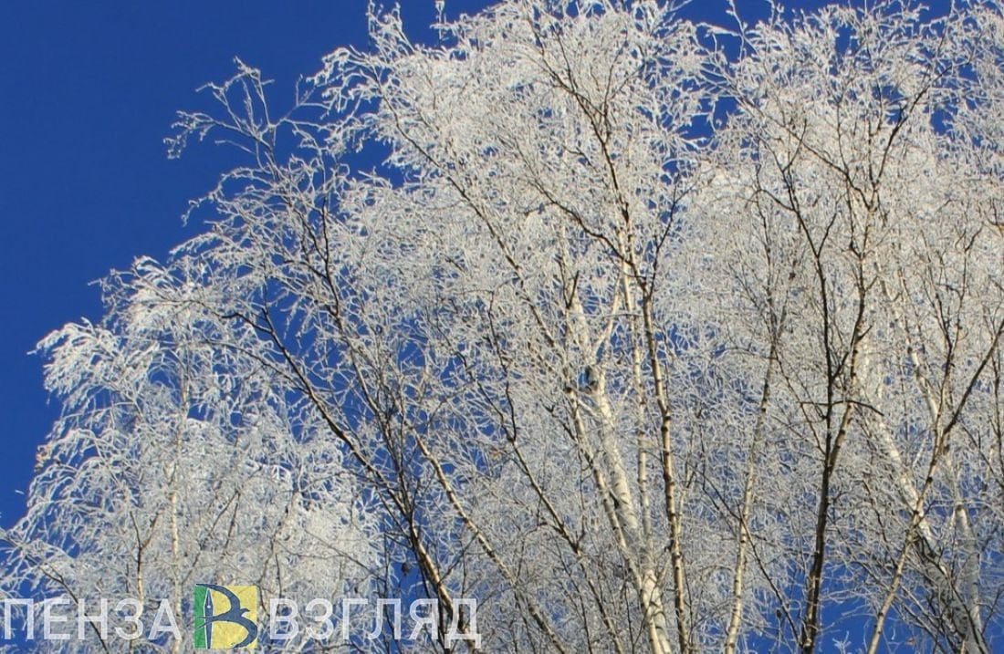 В последнюю неделю ноября пензенцев ждет солнечная и снежная погода   На последней рабочей неделе ноября Пензенская область окажется под влиянием антициклона, что станет определяющим фактором в формировании погоды.  В этот период ожидается повышение атмосферного давления, что приведет к значительному уменьшению облачности. В некоторые дни прогнозируется солнечная погода, однако северные ветры принесут с собой холодный воздух - температура в течение всей недели будет отрицательной. В среднем показатели термометра будут держаться на -5 градусах, сообщает начальник отдела прогнозирования ФГБУ «Приволжское УГМС» Светлана Иванкова.   В некоторых районах возможны небольшие осадки, которые ожидаются лишь к концу недели из-за влияния атмосферного фронта. Синоптики предупреждают, что из-за минусовой температуры на дорогах образуется гололед.    -Взгляд   Прислать новостей