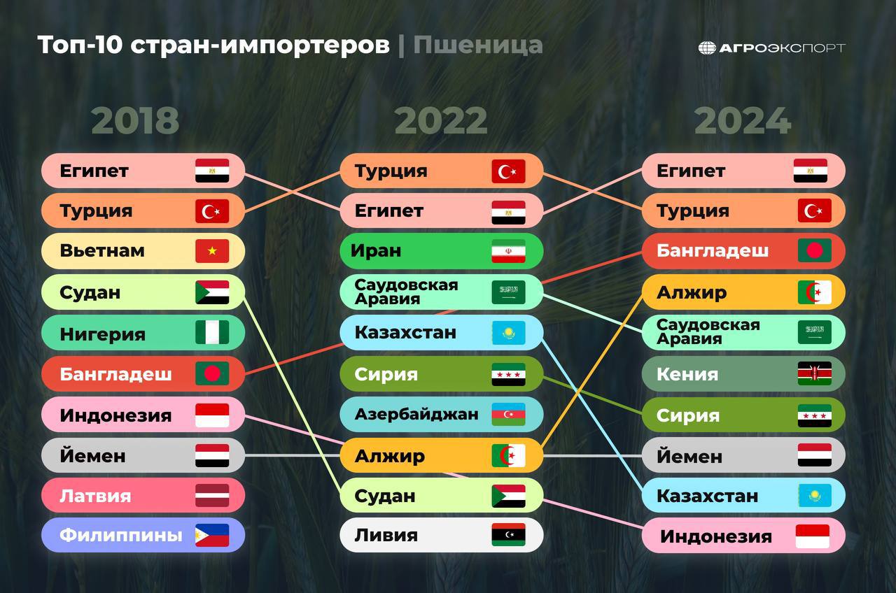 Согласно оценкам экспертов, за 11 месяцев 2024 года страны-импортеры закупили более 50 млн тонн российской пшеницы, что на 32% больше в сравнении с аналогичным периодом 2018 года - Агроэкспорт