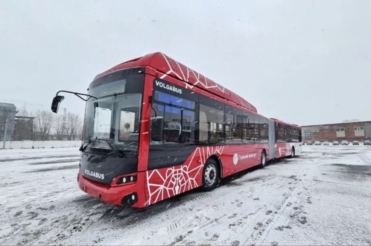 Первые автобусы-гармошки могут выйти на линию в феврале 2025 года.   Мэр Перми Эдуард Соснин заявил, что департаменту транспорта поставлена задача оперативно переобучить водителей для работы на этих новых автобусах.  «Сейчас поставил задачу дептрансу по возможности оперативно выводить «гармошки» на линии уже в феврале 2025 года, не ждать июля», — пояснил мэр Перми.  Соснин также объяснил причины текущей нехватки автобусов в городе. По его словам, основная проблема — дефицит водителей. Для привлечения и удержания кадров планируется повышение заработной платы.     Подписаться   Прислать новость