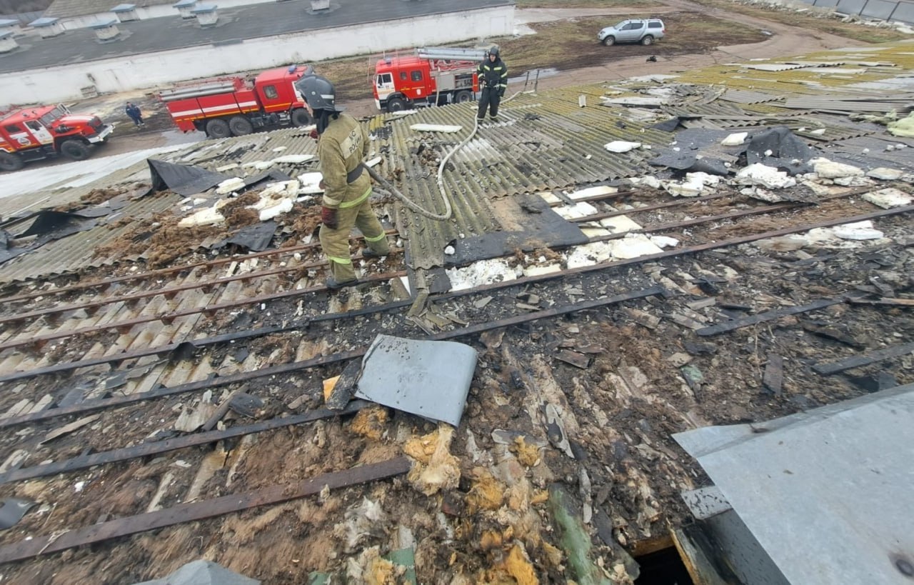 Ликвидировано возгорание кровли птицефабрики в Железногорском районе  По оперативной информации МЧС, в результате пожара в одноэтажном кирпичном здании повреждена кровля на площади 20 кв. метров. Обошлось без пострадавших. Причина возгорания устанавливается.  фото ГУ МЧС России по Курской области  Сейм   Курская область