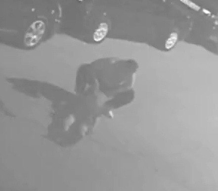 Повалил на землю и пинал ногами по голове: мужчину жестоко избили во дворе ночью в Новосибирске В Новосибирске произошла драка в ночь на 21 июня в районе Акатуйского жилмассива. Во дворе дома по адресу Виктора Уса, 13 один сибиряк жестоко избил другого. Судя по кадрам, нападавший повалил мужчину на землю. После этого он с силой несколько раз ударил пострадавшего ногой по голове. Сибиряк все это время лежал без сознания. Пострадавшего доставили в больницу с травмами головы. Полицейские задержали подозреваемого. Он не был знаком с пострадавшим, уточнили в пресс-службе ведомства. Возбуждено уголовное дело по статье о причинении тяжкого вреда здоровью. В течение нескольких часов сотрудники уголовного розыска установили личность подозреваемого, и уже в течение суток он был задержан в порядке статьи 91 УПК РФ. В настоящее время с ним проводятся необходимые следственные действия и оперативно-розыскные мероприятия. По предварительным данным, потерпевший 1982 года рождения и подозреваемый, 2000 года рождения, ранее между собой знакомы не были. Известно также, что мужчина, получивший телесные повреждения, отказался от госпитализации и покинул медицинское учреждение самостоятельно. Следственным подразделением возбуждено уголовное дело по признакам преступления, предусмотренного частью 1 статьи 111 УК РФ «Причинение тяжкого вреда здоровью» . Обстоятельства произошедшего устанавливаются.