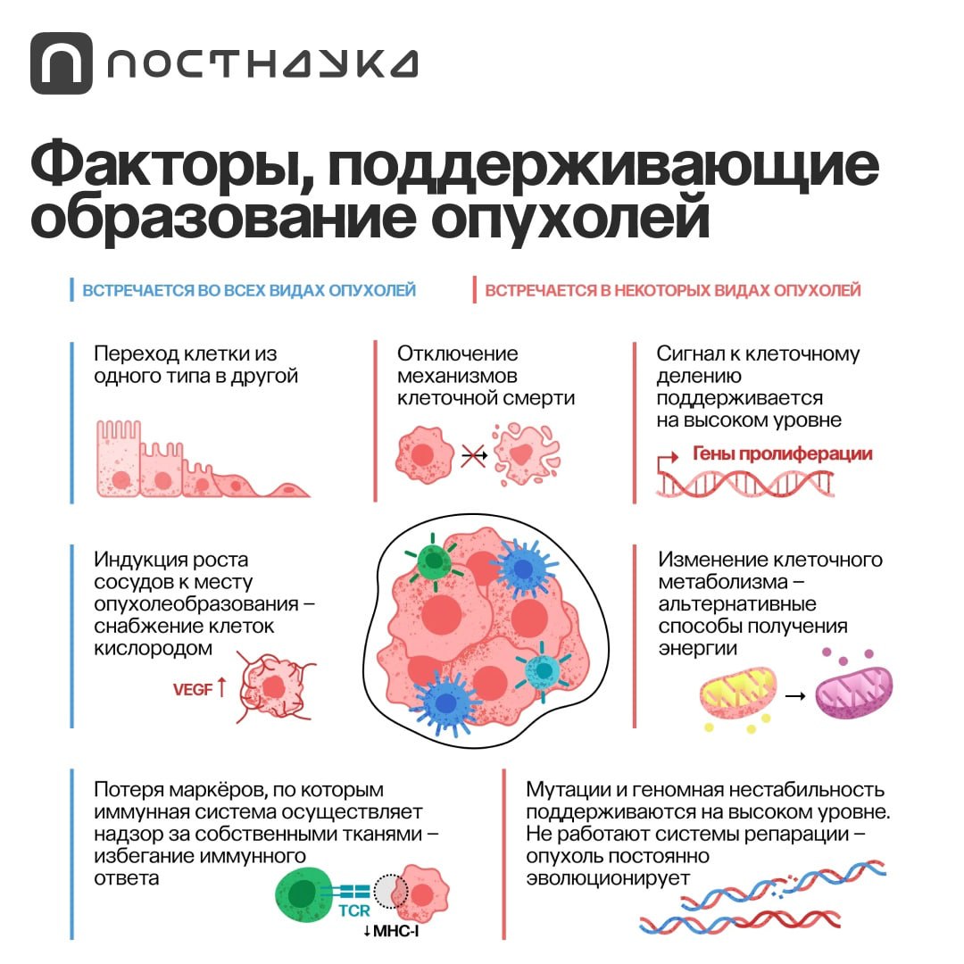 Раньше было принято считать, что у опухолевой клетки 6 основных признаков: генетическая нестабильность наличие большого числа мутаций , бесконтрольный рост и деление, отсутствие реакции на «сдерживающие» сигналы организма, нарушение клеточных механизмов самоуничтожения, способность проникать в окружающие здоровые ткани и порождать метастазы, формирование собственной кровеносной системы Сегодня онкологи замечают всё новые признаки: маскировку от иммунной системы, способность запускать воспалительные процессы, а также использование альтернативных метаболических путей выработки энергии. Как снизить риск развития онкозаболеваний