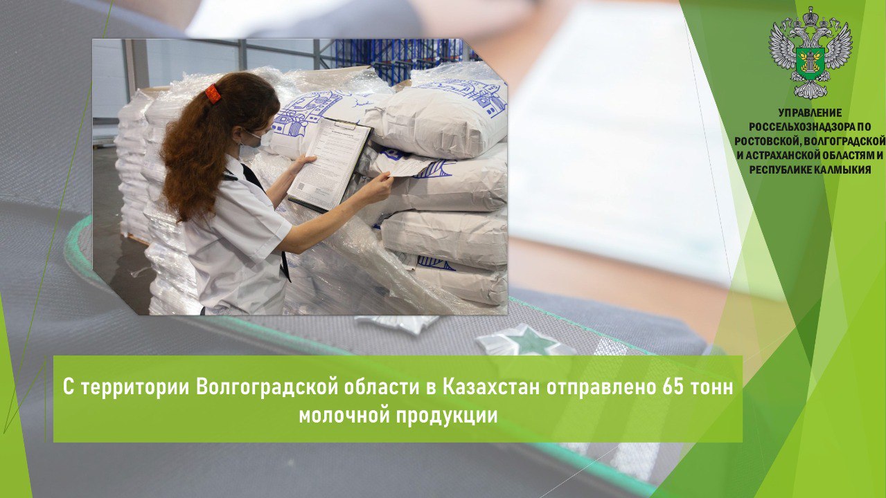 Управлением Россельхознадзора в период с 9 по 15 июня в местах полного таможенного оформления Волгоградской области проведен ветеринарный контроль в отношении 65 т молочной продукции сыворотка молочная сухая , предназначенной на экспорт в Республику Казахстан. Вывоз молочной продукции осуществлялся с территории региона железнодорожным транспортом. Продукция признана безопасной в ветеринарно-санитарном отношении. Ее качество и безопасность подтверждены результатами лабораторных исследований, проведенных в испытательной лаборатории Волгоградского пункта Волгоградского филиала ФГБУ «ЦОК АПК». Открыть полный текст #Ввоз_вывоз_транзит #Ветеринарный_надзор