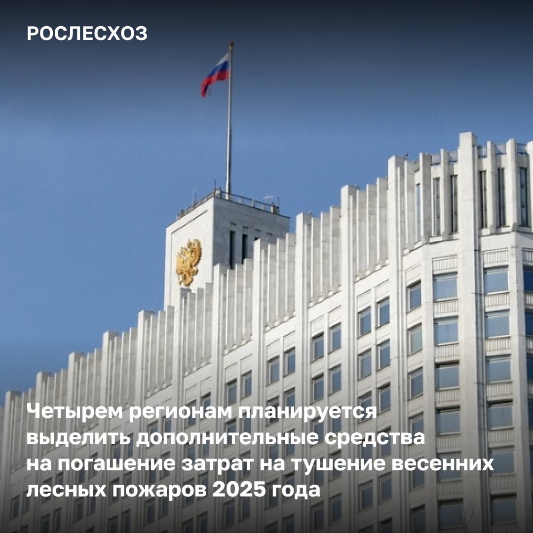 Из резервного фонда Правительства России выделят 1,4 млрд рублей на компенсацию затрат на тушение лесных пожаров. Дополнительные средства поступят в: - Республику Бурятия, Забайкальский и Красноярский края, а также Амурскую область. На что будут направлены средства? - на компенсацию расходов дополнительно привлеченных сил и средств из других регионов, автомобильное и авиа топливо, заработную плату лесных пожарных. Совместная работа по координации действий по тушению лесных пожаров «Совершенно очевидно, что потушить лесные пожары без денежных средств невозможно. И здесь отдельная благодарность регионам - это Республики Саха Якутия , Коми, Карелия, Хакасия, Тыва, ХМАО, Иркутская, Свердловская и Омская области, Приморский край. В горимые субъекты оперативно направлялись их силы и средства. Кроме того, хочу отметить МЧС России - их техника и люди также были задействованы в ликвидации возгораний. Благодаря нашей совместной работе с Минприроды и Минфином России из резервного фонда Правительства страны планируется выделить дополнительные денежные средства в объеме 1,4 млрд рублей на компенсацию затрат на тушение пожаров. Средства направят в Амурскую область, Забайкальский, Красноярский края, Республику Бурятия. Выделенное финансирование будет доведено в том числе и огнеборцам, которые принимали непосредственное участие в тушении лесных пожаров, защищая населенные пункты и объекты экономики. Лесопожарный сезон продолжается и важно не допускать ухудшение обстановки, держать ситуацию на контроле», - заключил руководитель Рослесхоза Иван Советников.