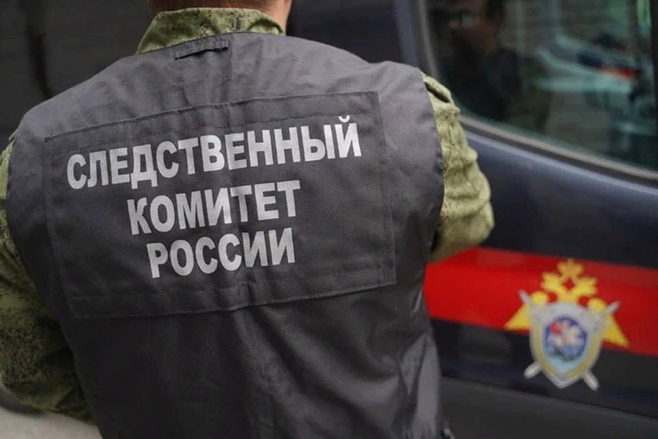 Пропавшую семилетнюю девочку в Бердянске нашли мертвой Девочка ушла на прогулку во двор дома №154 по улице Кабельщиков вместе с другими детьми. Тело девочки было обнаружено 17 мая в лесополосе рядом с заводом Азовкабель. Следственные органы сообщают, что на теле есть признаки насильственной смерти. В настоящее время на месте происшествия работают следственно-оперативная группа и судебные медики. Возбуждено уголовное дело, и ход расследования контролируется региональным Следственным комитетом. Срочно Бердянск‼ Наш бот