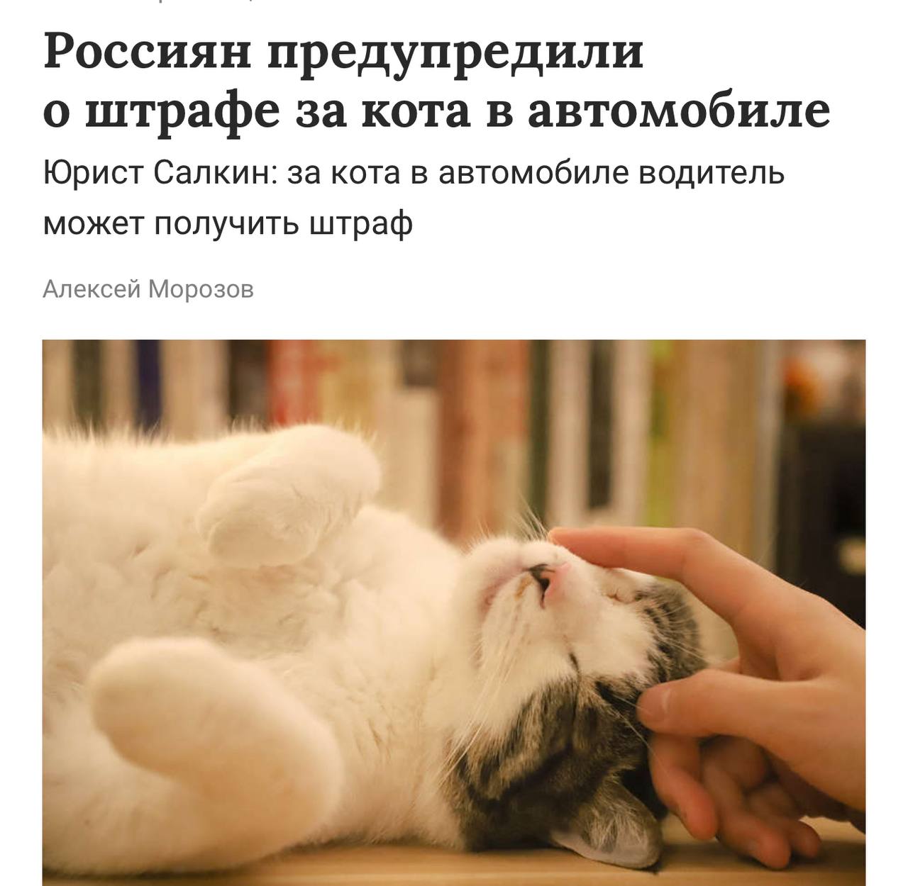 В России оказывается можно получить штраф за кота в машине Юристы объясняют пушистый в салоне приравнивается к грузу а груз не должен мешать обзору и управлению Если кот свободно бегает по авто могут выписать штраф в размере 500 рублей Подписывайся на PRO Бизнес YouFast VPN AML бот Шерлок