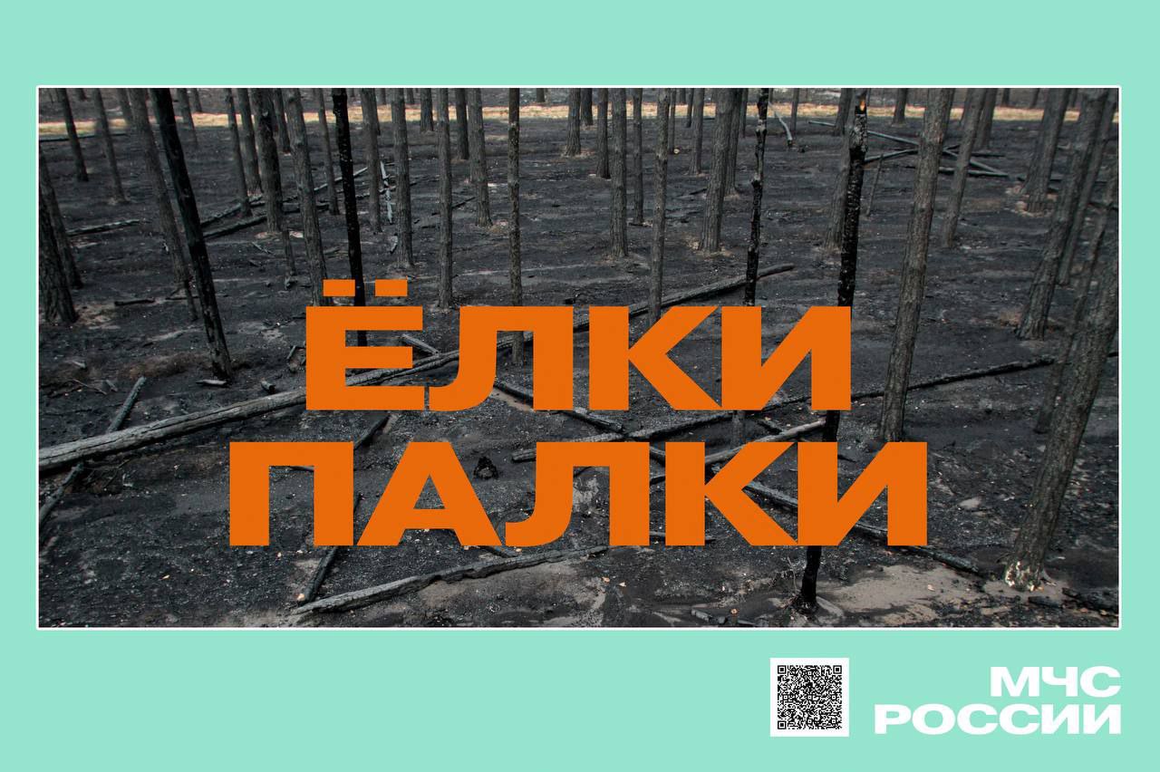 По данным областного Гидрометцентра, в период с 29 июля по 4 августа в большинстве районов Саратовской области сохранится высокая пожарная опасность   Температура воздуха будет достигать +27...+32°С. Преимущественно без осадков.   С начала года в регионе зарегистрировано 3 2  лесных пожара на общей площади более 3 8 0  гектаров.