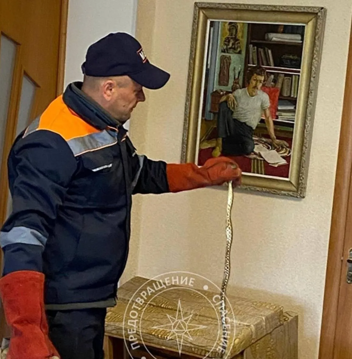 В одном из домов Слободзеи поймали змею Накануне сотрудники Аварийно спасательного подразделения Слободзеи изловили змею в доме у пенсионерки Испуганная женщина сообщила что животное пряталось под диваном Спасатели достали змею отвезли её подальше от жилых домов и отпустили передаёт пресс служба Главного управления по чрезвычайным ситуациям МВД