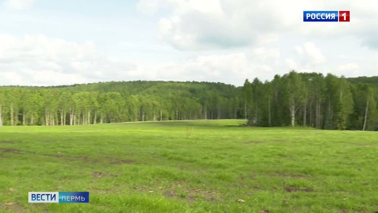 В пригороде Соликамска завершены работы по рекультивации свалки    В пригороде Соликамска завершены работы по рекультивации свалки хозяйственно-бытовых отходов. Ликвидация объекта проведена в рамках федерального проекта «Чистая страна» нацпроекта «Экология», инициированного президентом. Об этом сообщили в МинЖКХ и благоустройства Прикамья. По информации специалистов, в ходе рекультивации подрядчик сформировал тело полигона, которое закрыто специальными изолирующими материалами. Затем на участок был нанесен плодородный грунт и посажены многолетние травы и растения. Таким образом территория, которая использовалась для захоронения отходов, полностью восстановлена и может быть вовлечена во вторичный оборот. На реализацию проекта было направлено порядка 815 млн рублей, из которых 597 млн  – из федерального бюджета. Напомним, ранее в рамках федерального проекта «Чистая страна» нацпроекта «Экология» завершена рекультивация свалки в Березниках и Кунгуре.