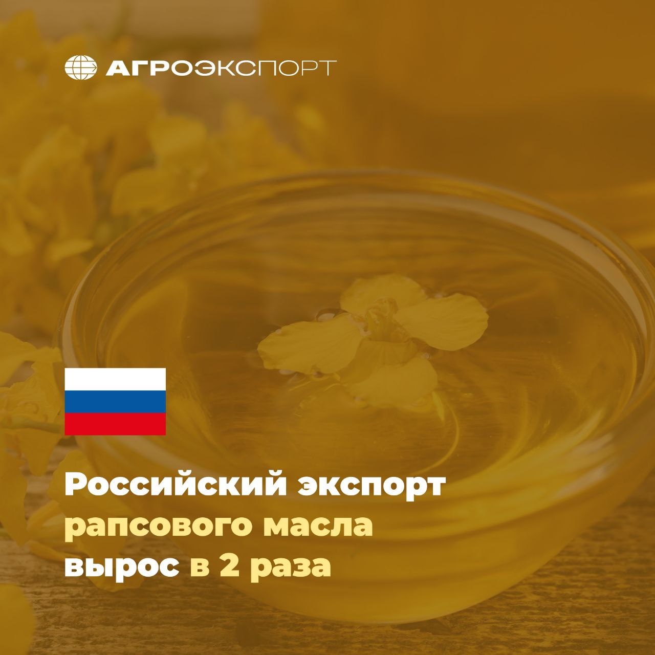 Российский экспорт рапсового масла вырос в 2 раза  Согласно оценкам экспертов, в январе 2025 года Россия поставила на зарубежные рынки более 170 тыс. тонн рапсового масла. В сравнении с первым месяцем 2024 года экспорт вырос практически в 2 раза.  В топ-3 стран-импортеров в натуральном выражении входят:  1-е место — Китай  91%  2-е место — Латвия  6%  3-е место — Норвегия  2%   #агроэкспорт #новостиАПК