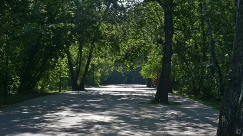 Парк Юбилейный признан лучшим проектом благоустройства Алтайского края Парк стал лучшим в номинации Город по итогам ежегодного конкурса Лучший реализованный проект благоустройства общественной территории организованного региональным министерством строительства и жилищно коммунального хозяйства Общая стоимость благоустройства парка превысила 315 миллионов рублей и оно не останавливается В 2025 году в парке продолжаются работы в рамках программы Инфраструктура для жизни На территории проводят санитарный снос и посадку новых деревьев обновляют зеленую зону в границах улиц Энтузиастов Ленинградской и Антона Петрова ТОЛК