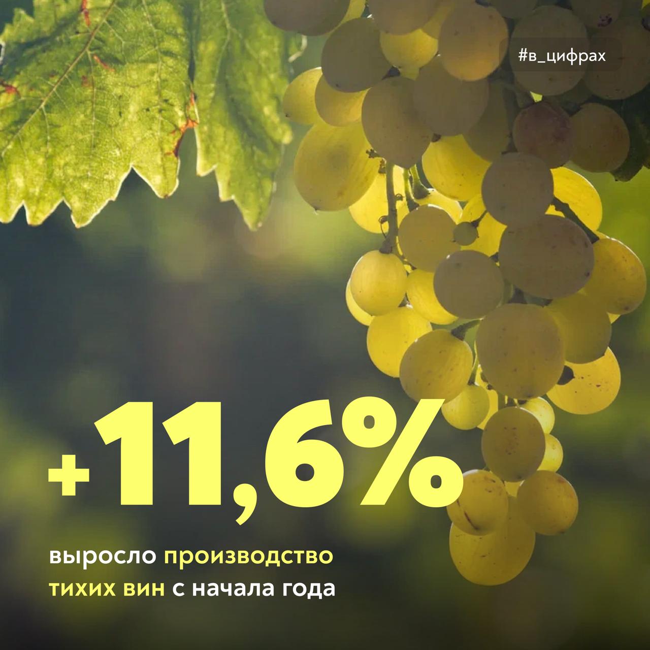 Российская винодельческая отрасль продолжает развиваться Первый замминистра Елена Фастова рассказала о развитии виноградарства и виноделия на пресс конференции Итоги исследования Винный гид России О динамике За последние пять лет площадь виноградников в стране выросла до 110 тысяч гектаров Более трети виноградников в возрасте 5 15 лет то есть молодые и обладающие потенциалом для высокой урожайности За январь ноябрь производство тихих вин увеличилось на 11 6 игристых на 8 2 Больше половины от общего объема реализации вин в стране российского производства О поддержке отрасли В рамках федпроекта Стимулирование развития виноградарства и виноделия ежегодно поддержку получают 300 производителей в том числе фермерских хозяйств В этом году на эти цели направлено 4 млрд рублей аналогичная сумма предусмотрена и на следующий год Виноградарям и виноделам доступен широкий комплекс мер поддержки частичная компенсация затрат на закладку и уход за виноградниками а также на материально техническое обеспечение льготные кредитование и лизинг компенсация прямых понесенных затрат на питомники гранты на развитие туризма и семейных ферм агрострахование и другие инструменты За последние годы уровень профессионализма виноделов и качество российских вин существенно выросли Производители научились создавать вина отражающие сорт и регион а потребители получили больше разнообразия на прилавках магазинов Российское виноделие сегодня это история успеха проверенная самым строгим судьей любовью потребителей Минсельхоз России в MAX